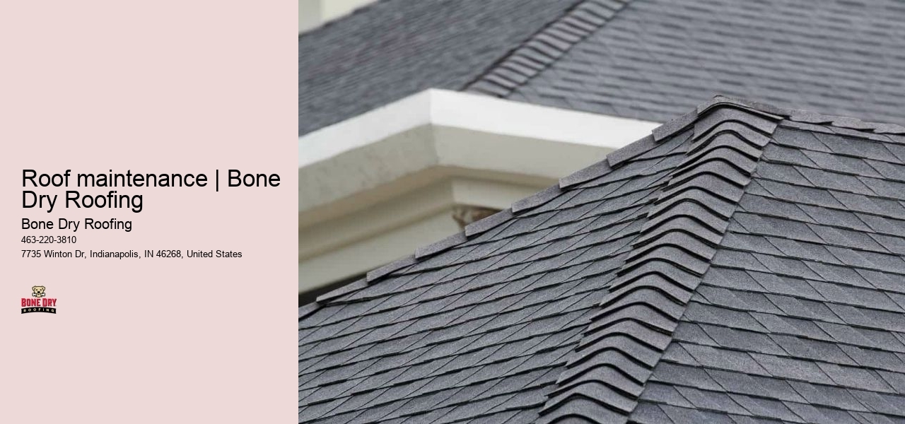 Roof maintenance | Bone Dry Roofing